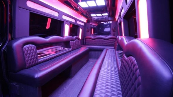 memphis sprinter limo rental inside